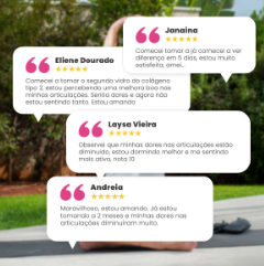 4 Colágenos Tipo 2 + 2 Balm de Dores