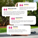 1 Colágeno Tipo 2 Active Plus